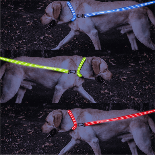 4id﻿ USA Weatherproof Ultra Bright LED Rechargeable Light Up Dog Leash 1pc - LMCHING Group Limited