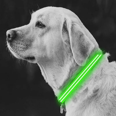 Collar para perro luminoso recargable con LED ultrabrillante resistente a la intemperie de 4id USA (verde) 1 pieza.