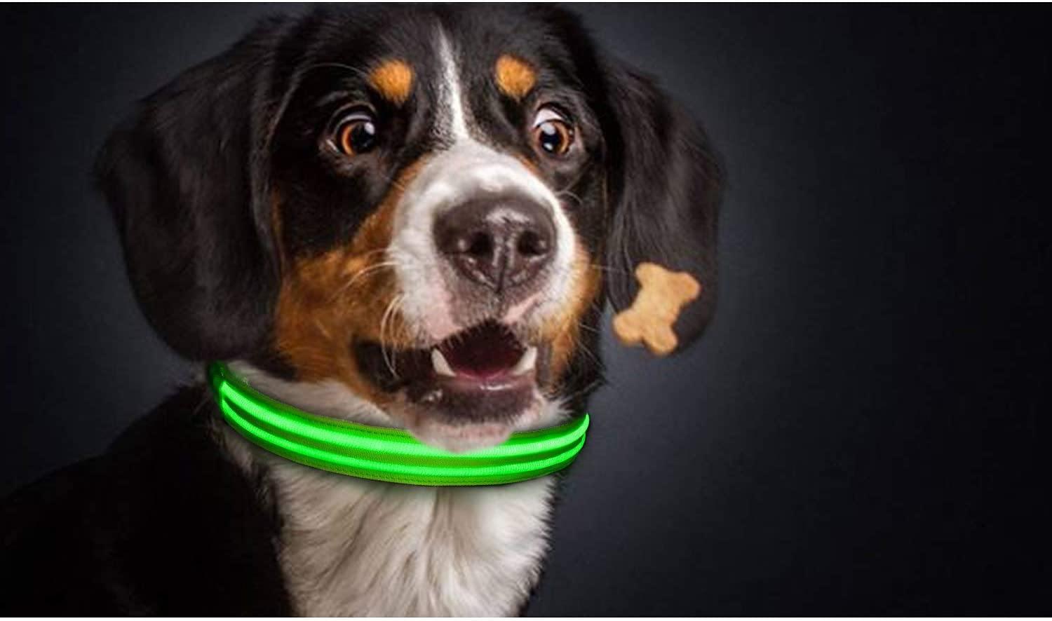 4id﻿ USA Weatherproof Ultra Bright LED Rechargeable Lite Up Dog Collar (Green) 1pc - LMCHING Group Limited