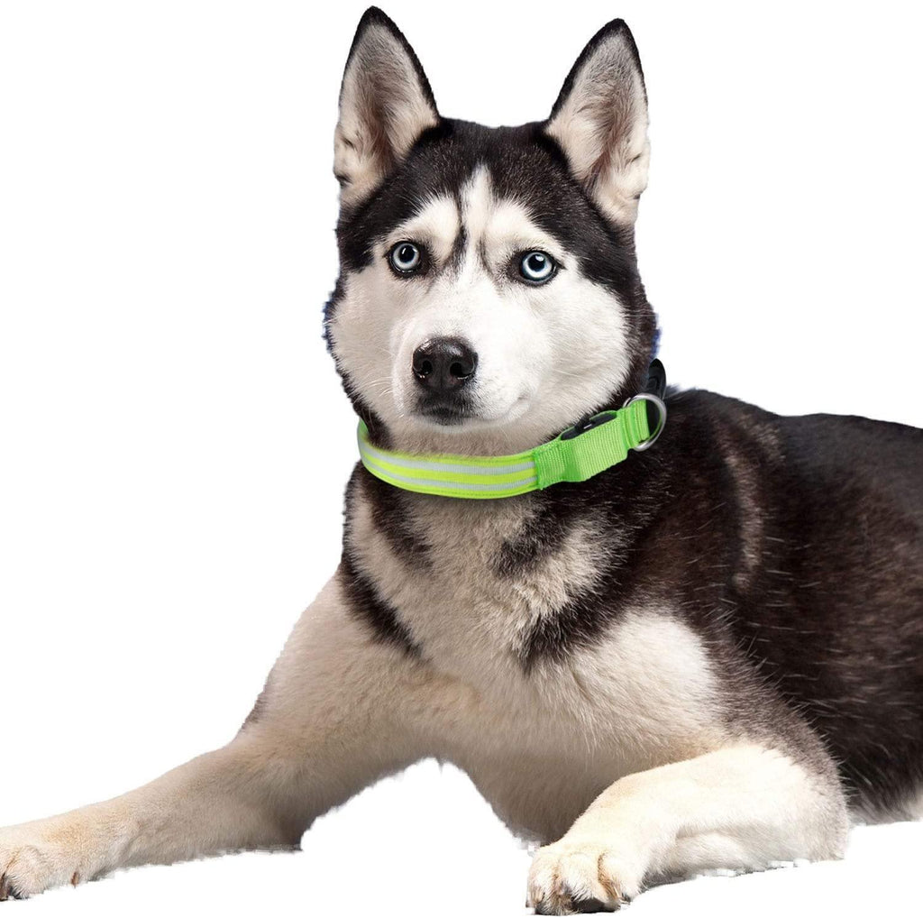 4id﻿ USA Weatherproof Ultra Bright LED Rechargeable Lite Up Dog Collar (Green) 1pc - LMCHING Group Limited