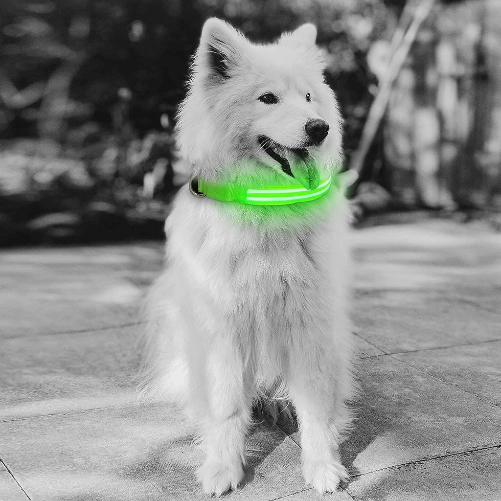 4id﻿ USA Weatherproof Ultra Bright LED Rechargeable Lite Up Dog Collar (Green) 1pc - LMCHING Group Limited