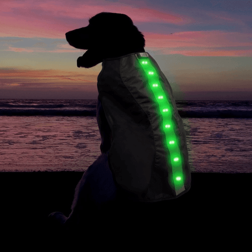 4id﻿ USA Weatherproof Ultra Bright Rechargeable LED Dog Vest 1pc - LMCHING Group Limited
