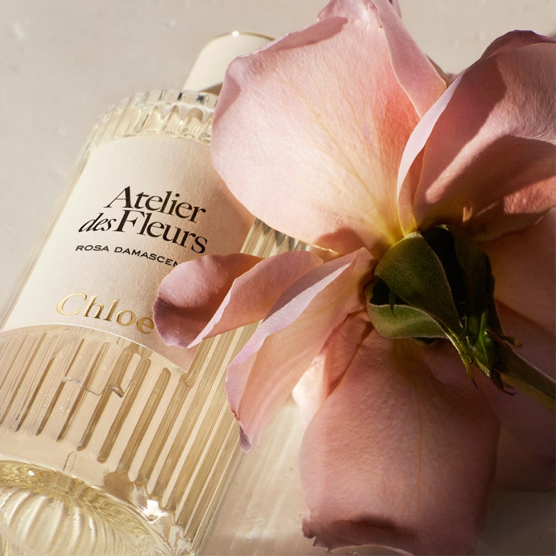 Chloe Atelier Des Fleurs Rosa Damascena Eau De Parfum 150 ml