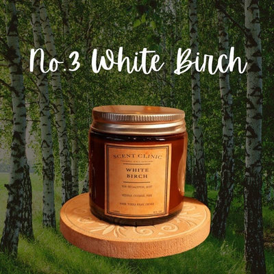 SCENT CLINIC No.3 White Birch Soy Wax Scented Candle 100g - LMCHING Group Limited