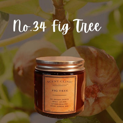 SCENT CLINIC No.34 Fig Tree Soy Wax Scented Candle 100g