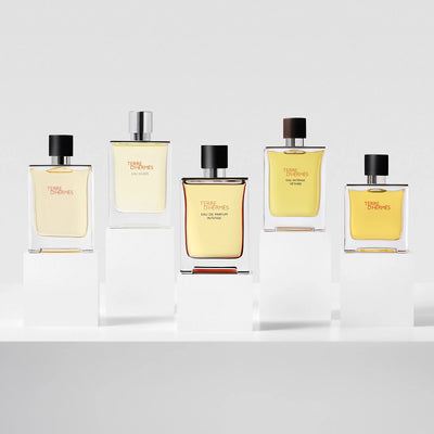 Hermes น้ำหอม Terre D’Hermes Eau de Toilette (สำหรับผู้ชาย) 50มล. / 100มล.
