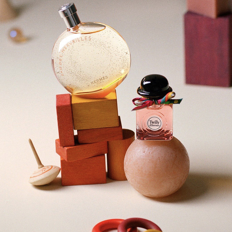HERMES Ladies Twilly D&