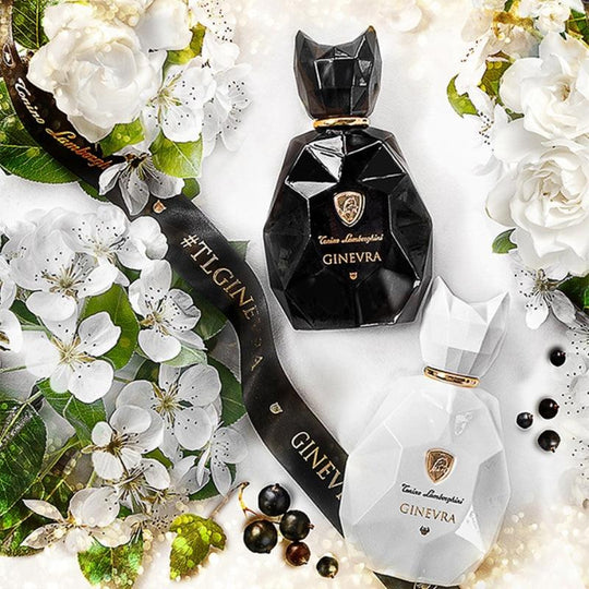 Tonino Lamborghini Ginevra Black Panther Eau De Parfum 100ml