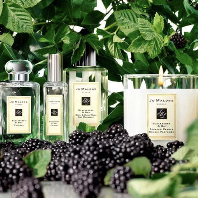 JO MALONE LONDON Blackberry & Bay Cologne (Originally Without Box) 30ml - LMCHING Group Limited