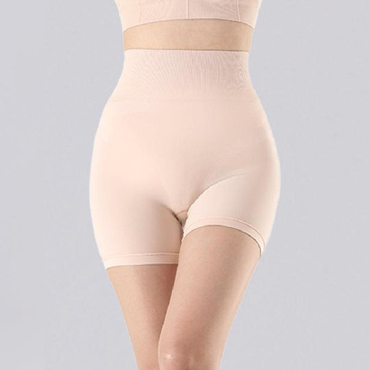 LOVLOY Hidden Shaper Seamless Panties (2 Colors) 1pc - LMCHING Group Limited