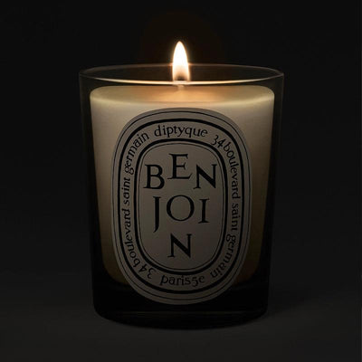 DIPTYQUE Benjoin Scented Candle 190g - LMCHING Group Limited