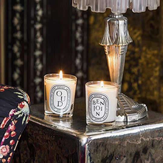 DIPTYQUE Benjoin Scented Candle 190g - LMCHING Group Limited