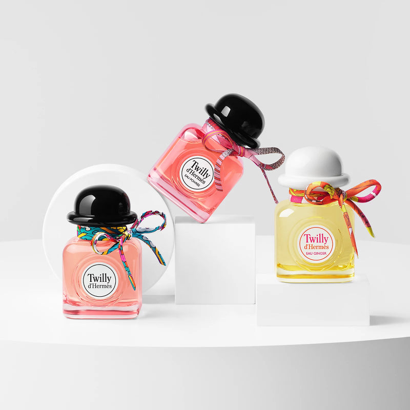 HERMES Ladies Twilly D&