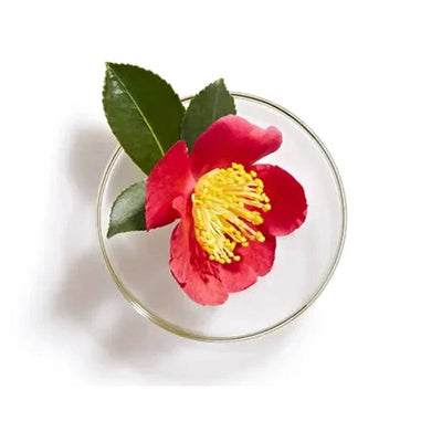 SHISEIDO Tsubaki Premium Volume & Repair Shampoo 450ml