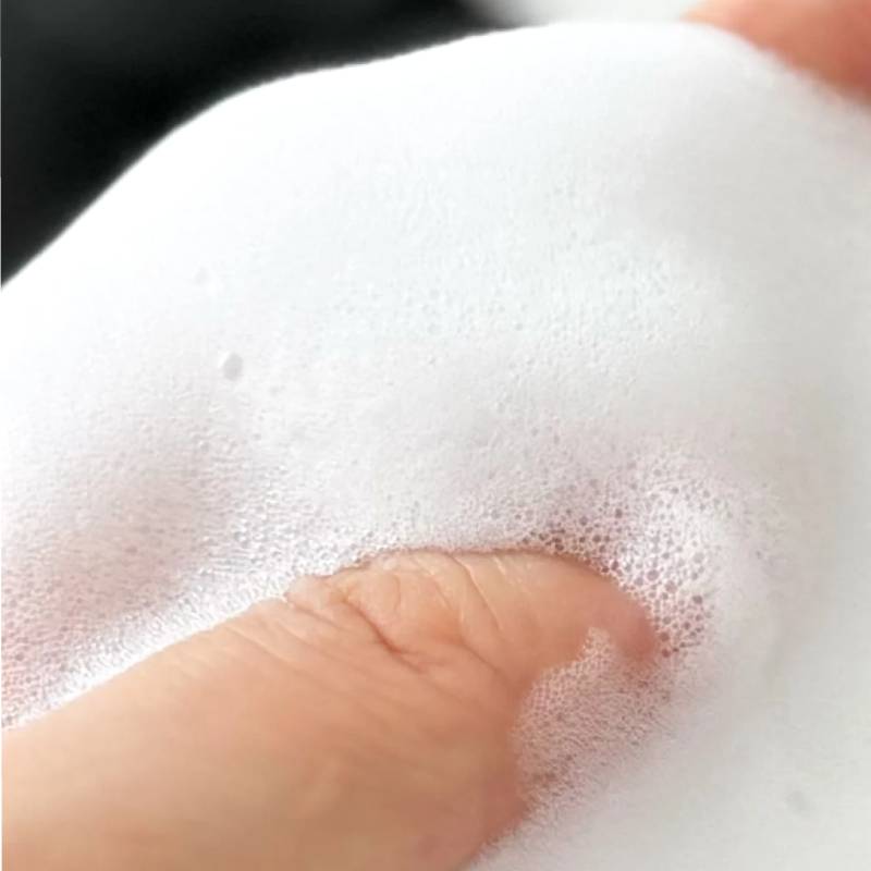 hetras. Perfume Bubble Hand Wash (#07 Hotel Wood ) 515ml x 2pcs