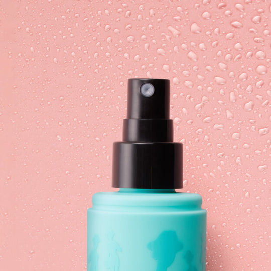 benefit The Pore Fessional Super Setter 120ml