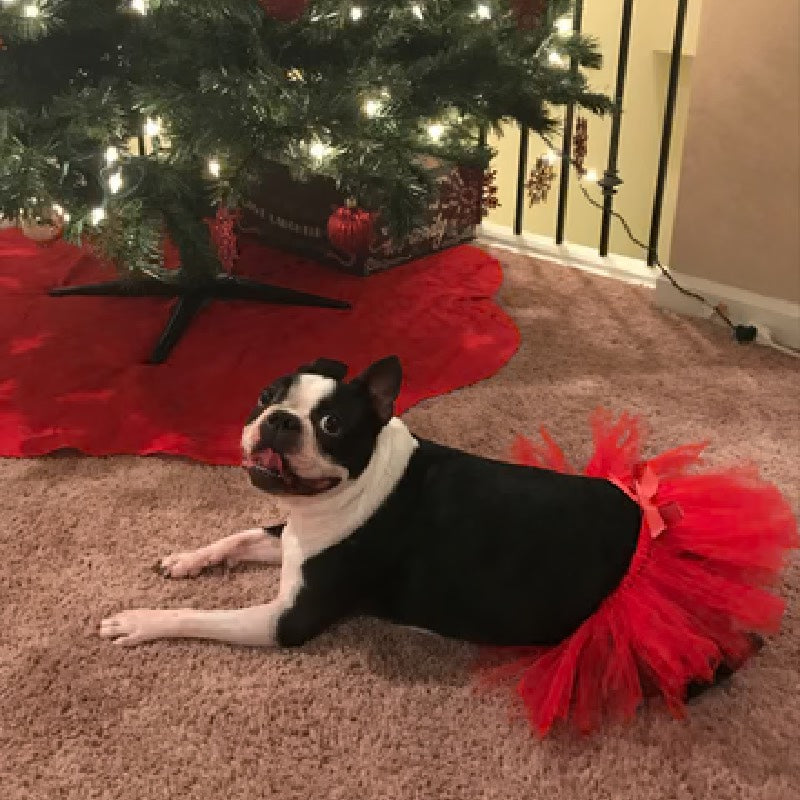 Tutu Joli Chân Váy Cho Thú Cưng USA Handmade Comfortable Red Pet Tutu Skirt 1pc