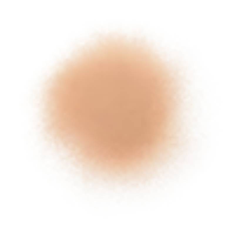 COSME DECORTE Loses Puder 20 g