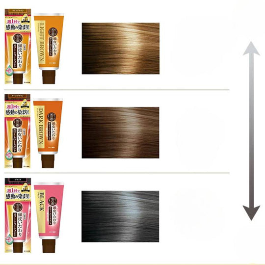 50 MEGUMI Scalp Care Color Treatment (Light Brown) 150g