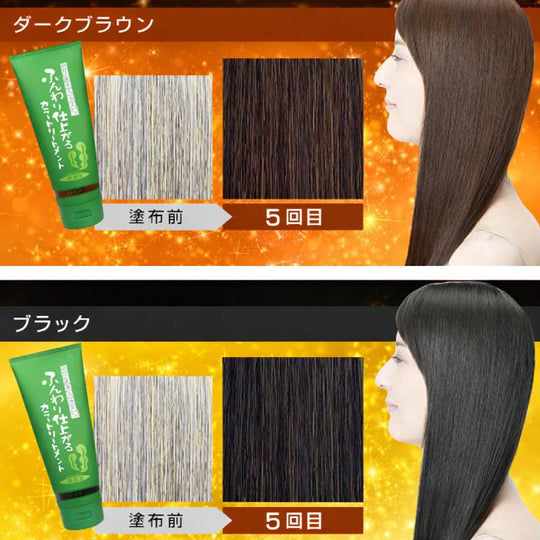 BRAIN COSMOS Rishiri Kelp Hair Color Cream 200g