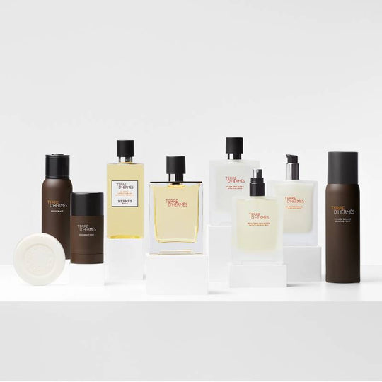 HERMES Terre D&