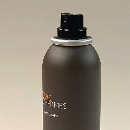 HERMES Terre D&