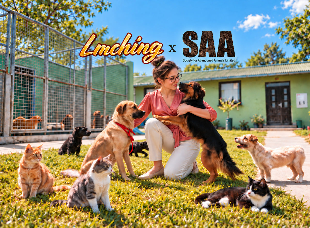 Animal Sponsorship Foundation