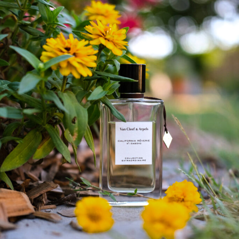 Van Cleef & Arpels 法國 加州美夢 濃香水 75ml