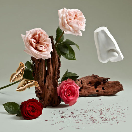 PENHALIGON&