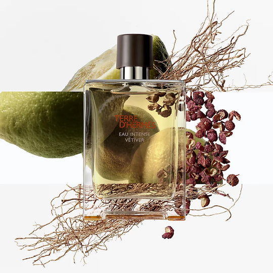 HERMES 法国 爱马仕大地馥郁香根草浓香水 100ml