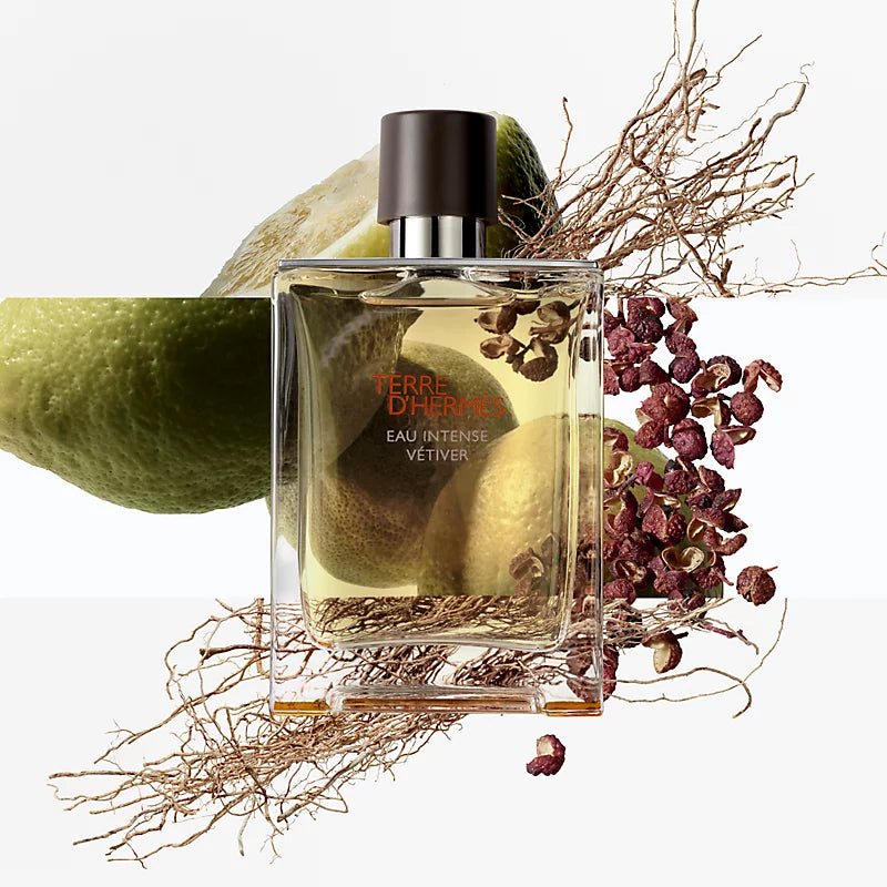 HERMES 法国 爱马仕大地馥郁香根草浓香水 100ml