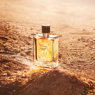 HERMES 法国 爱马仕大地馥郁香根草浓香水 100ml