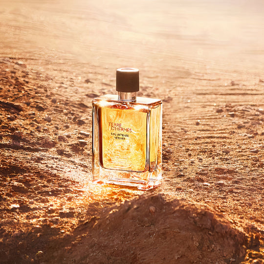 HERMES 法国 爱马仕大地馥郁香根草浓香水 100ml