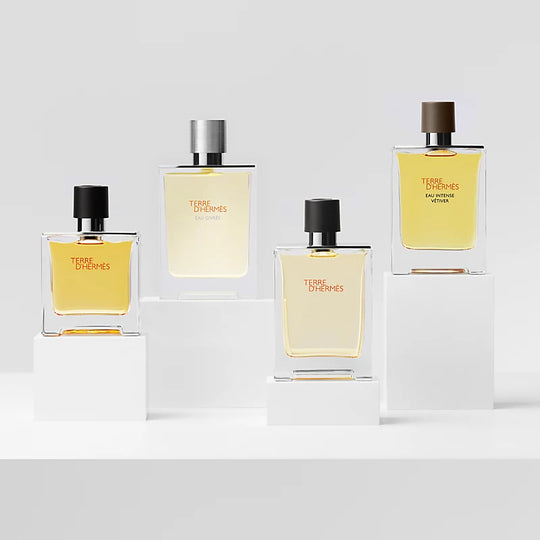 HERMES 法国 爱马仕大地馥郁香根草浓香水 100ml