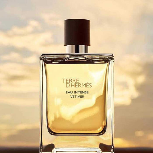 HERMES 法国 爱马仕大地馥郁香根草浓香水 100ml
