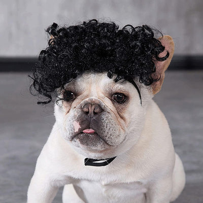 Afro-Hair Dog Cosplay Elastic and Adjustable Wig 1pc - LMCHING Group Limited