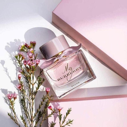 BURBERRY My Burberry Blush Eau De Parfum Vapo 50ml – LMCHING Group Limited