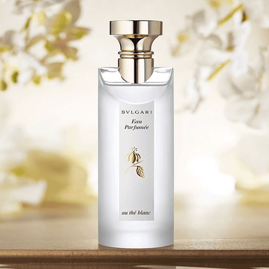 The blanc bvlgari outlet