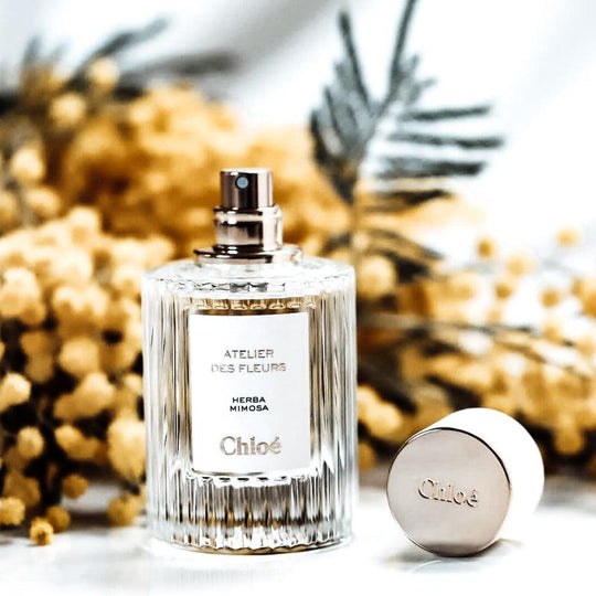 Chloe Atelier Des Fleurs Herba Mimosa Eau de Parfum 50ml - LMCHING Group Limited