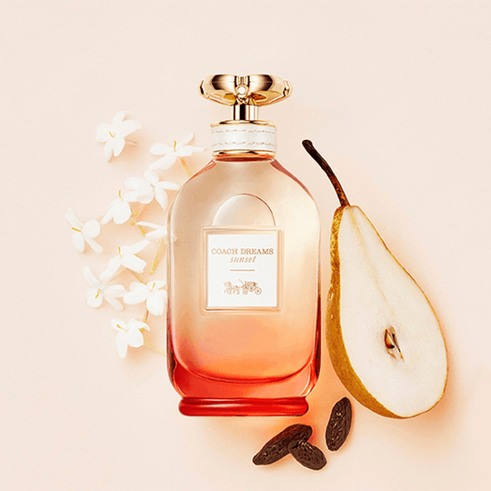 Coach coach dreams eau de parfum spray reviews hot sale