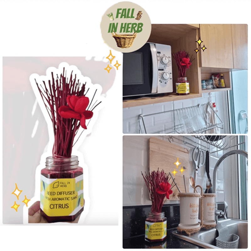 FALL IN HERB Reed Diffuser With Aromatic Sand (Citrus) 300ml + Refill 30ml - LMCHING Group Limited