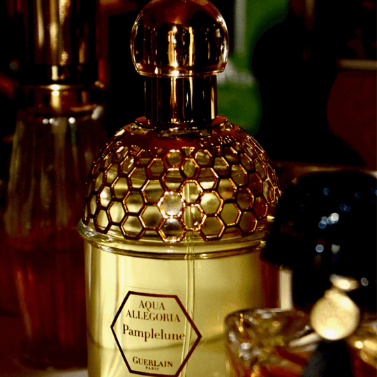 Pamplelune perfume 2025