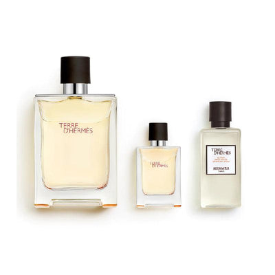 HERMES Terre D'Hermes Eau De Toilette Set (After-shave Lotion 40ml + EDT 100ml + EDT 12.5ml) - LMCHING Group Limited