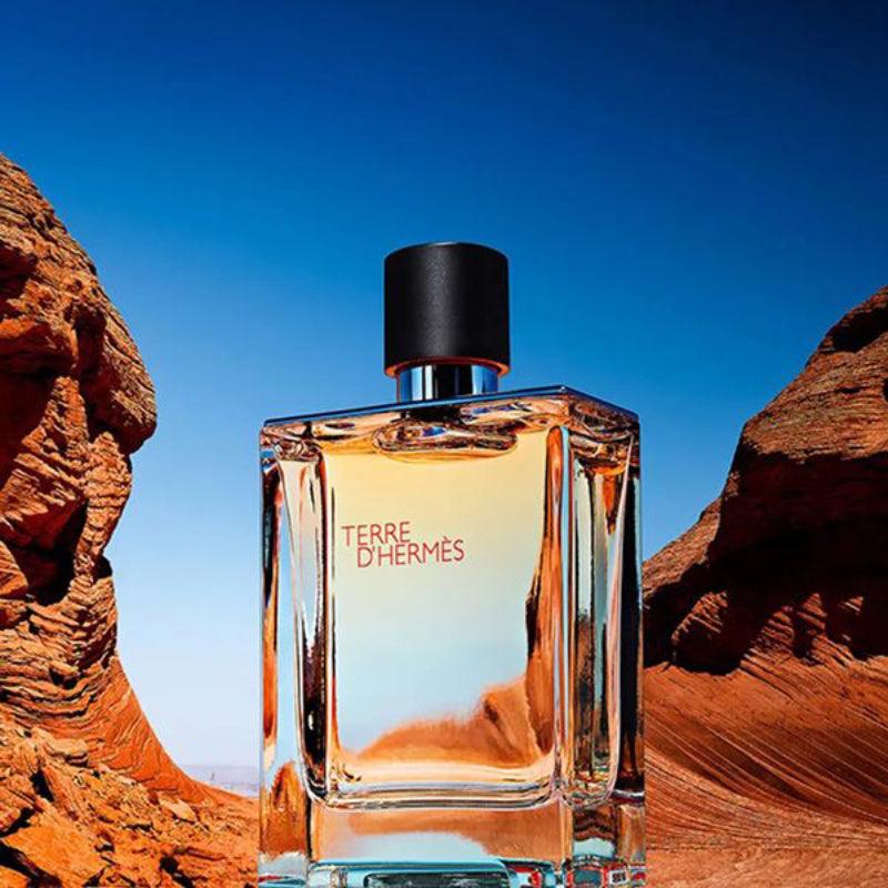 HERMES Terre D&