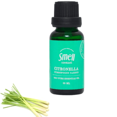 Smell Lemongrass Aceite esencial orgánico hecho a mano (citronela)