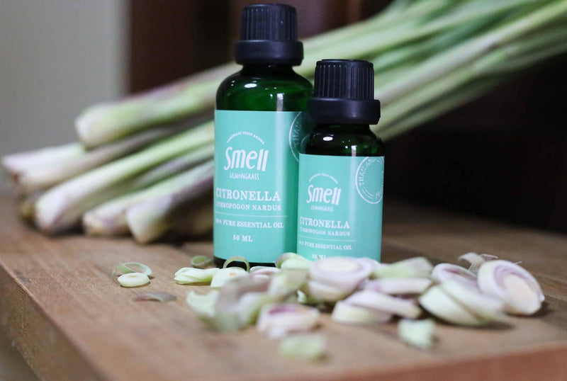 smell LEMONGRASS Handmade Aroma Organic Essential Oil (Citronella) - LMCHING Group Limited