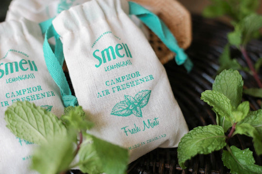 Smell Lemongrass Handmade Camphor Air Freshener/Mosquito Repellent (Fresh Mint) 30g - LMCHING Group Limited