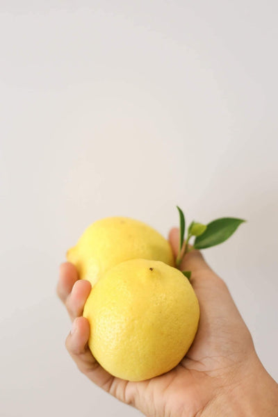 Smell Lemongrass Handmade Camphor Air Freshener/Mosquito Repellent (Lemon) 30g - LMCHING Group Limited