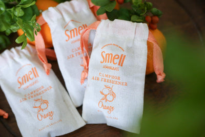 smell LEMONGRASS Handmade Camphor Air Freshener/Mosquito Repellent (Orange) 30g - LMCHING Group Limited