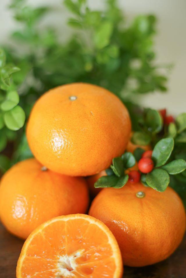 smell LEMONGRASS Handmade Camphor Air Freshener/Mosquito Repellent (Orange) 30g - LMCHING Group Limited
